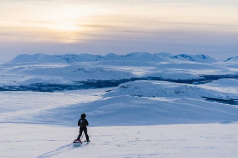 Ylläs Snowshoeing tour