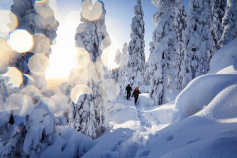 North Karelia winter fun